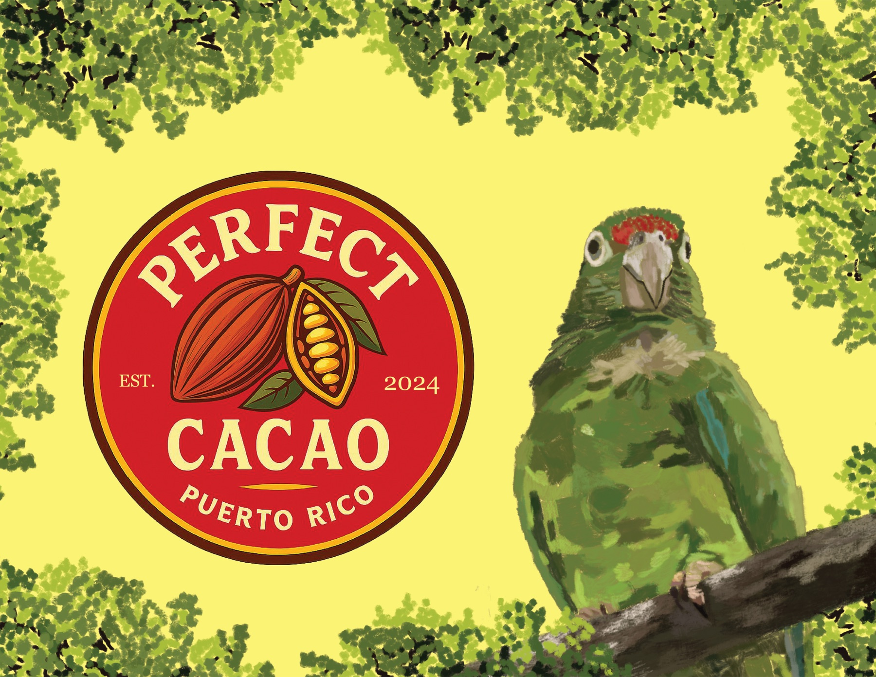 Perfect Cacao — Puerto Rico, with the parrot in the canopy